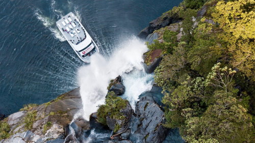 Milford Sound Nature Cruise